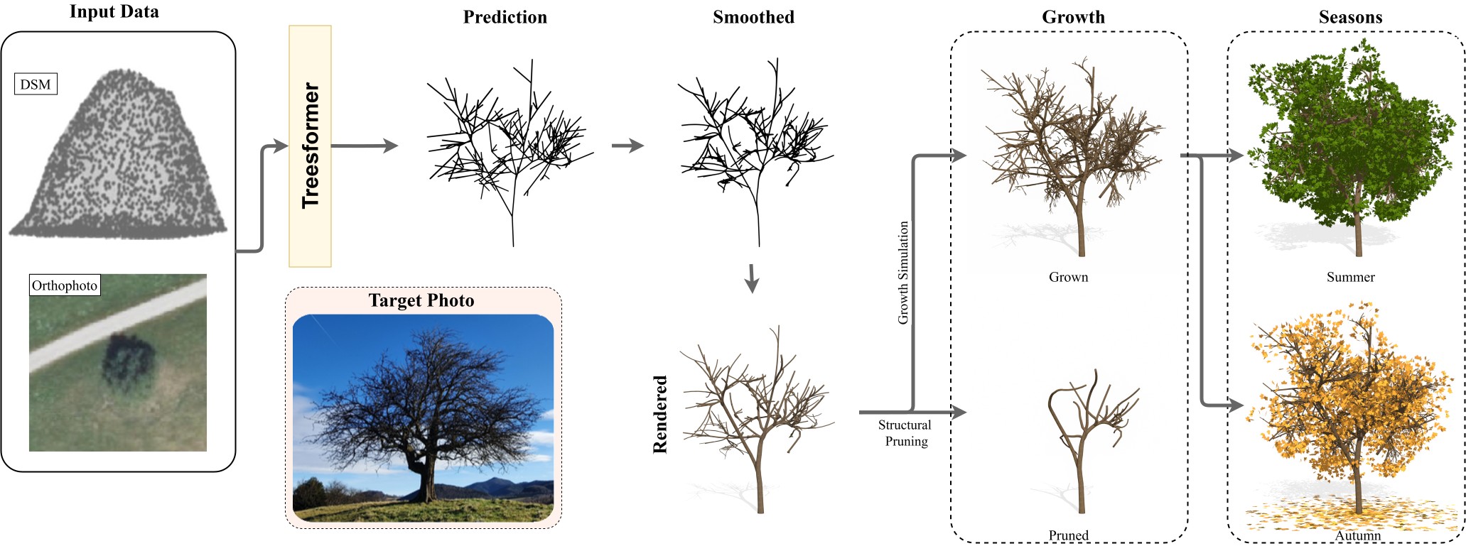 TreesFormer Overview
